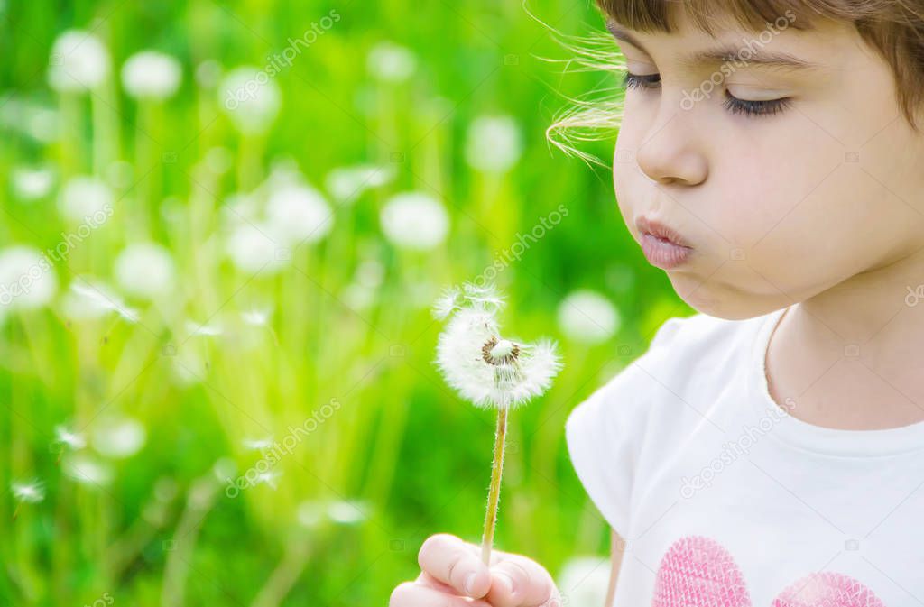 girl blowing dandelions in the air. selective focus.