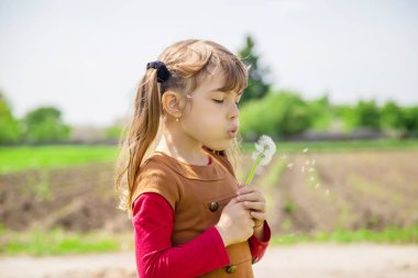 Dandelions hava üfleme kız. seçici odak.