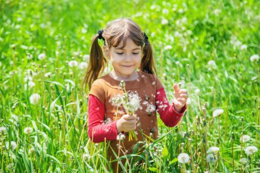 Dandelions hava üfleme kız. seçici odak.