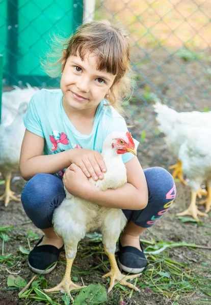 Bio chickens on a home farm a children. — Stock Photo, Image