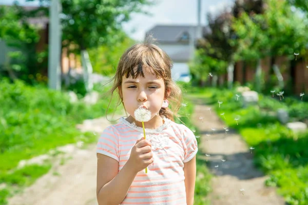 Дівчина дме кульбаби в повітрі. вибірковий фокус . — стокове фото