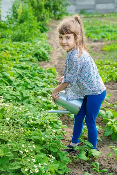 Anak kecil menyiram bunga di kebun. Fokus selektif . — Stok Foto