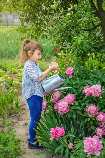 Bambino che innaffia fiori in giardino. Focus selettivo . — Foto Stock