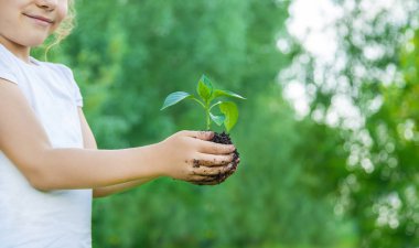 bahçede çocuk bitkileri ve sulama bitkileri. Seçici odaklama.