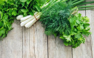 Bahçeden taze ev yapımı yeşillikler. Seçici odaklama.