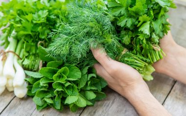 Bahçeden taze ev yapımı yeşillikler. Seçici odaklama.