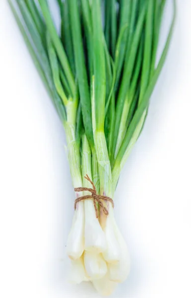 Verdure fresche fatte in casa dal giardino. Concentrazione selettiva isolata . — Foto Stock