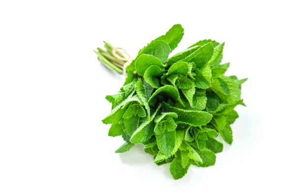 Verduras caseiras frescas do jardim. Isolar foco seletivo . — Fotografia de Stock