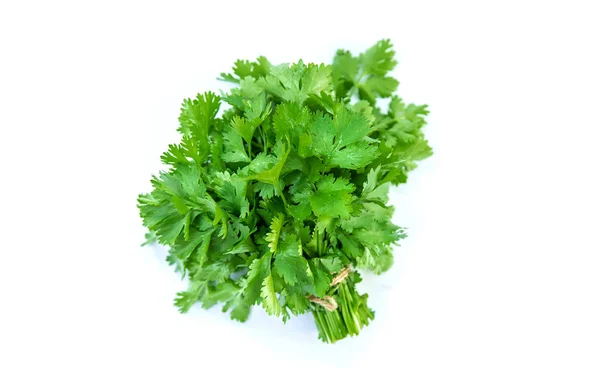 Verduras frescas caseras del jardín. Aislar Enfoque selectivo . —  Fotos de Stock