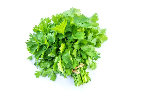 Verduras caseiras frescas do jardim. Isolar foco seletivo . — Fotografia de Stock