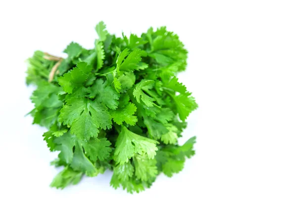 Verduras frescas caseras del jardín. Aislar Enfoque selectivo . —  Fotos de Stock