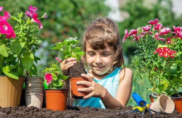 Seorang gadis kecil menanam bunga. Tukang kebun muda. Fokus selektif. alam . — Stok Foto
