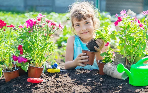 Ένα κοριτσάκι φύτευση λουλουδιών. Ο νεαρός κηπουρός. Επιλεκτική εστίαση. φύση. — Φωτογραφία Αρχείου