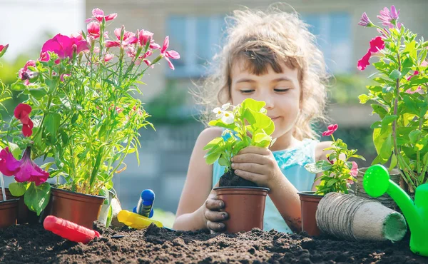 Маленькая девочка сажает цветы. Молодой садовник. Выборочный фокус. природа . — стоковое фото