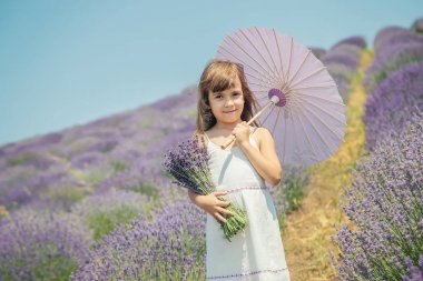 Çiçekli lavanta tarlasında ki bir çocuk. Seçici odaklama.