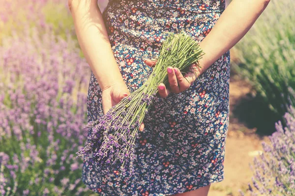 라벤더의 꽃 밭에서 소녀. 선택적 초점. — 스톡 사진
