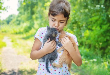 Çocukların elinde küçük kedi yavruları. Seçici odaklama.