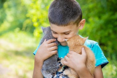 Çocukların elinde küçük kedi yavruları. Seçici odaklama.