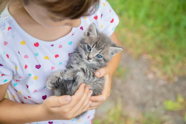 Małe kocięta w rękach dzieci. Selektywna koncentracja. — Zdjęcie stockowe