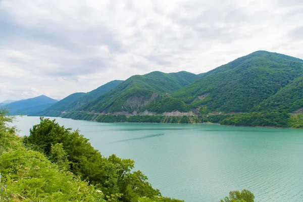 Georgia, Tbilisi. Grande serbatoio. Lago nel pisello. Focus selettivo . — Foto Stock