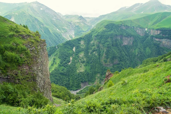 格鲁吉亚的山脉和山河。选择性聚焦. — 图库照片