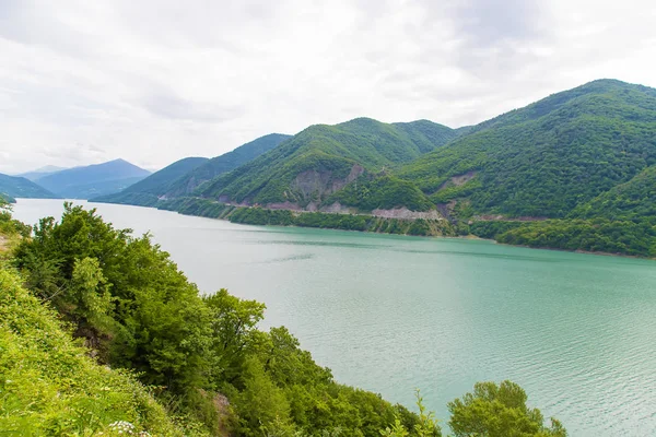 Georgia, Tbilisi. Grande serbatoio. Lago nel pisello. Focus selettivo . — Foto Stock