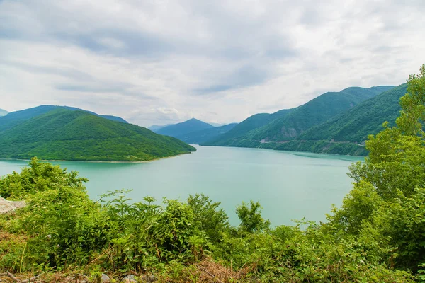 Georgia, Tbilisi. Grande reservatório. Lago na ervilha. Foco seletivo . — Fotografia de Stock