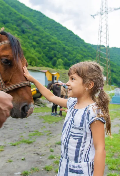 child with horses. Love to the animals. Selective focus.