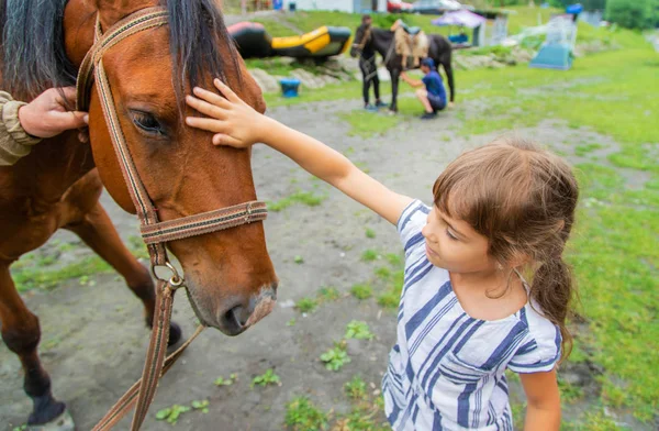 Enfant avec des chevaux. Aimez les animaux. Concentration sélective . — Photo