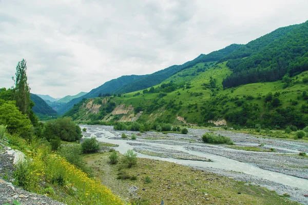 Montagne della Georgia e fiumi di montagna. Focus selettivo . — Foto Stock