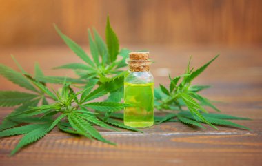 Tedavi için kenevir ve yapraklar et suyu, tentür, özü, yağ. Seçici odak.
