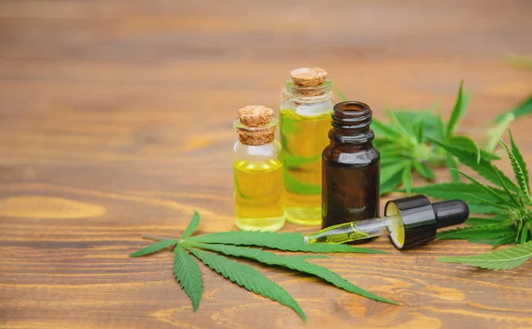 Cannabis herb and leaves for treatment broth, tincture, extract, oil. Selective focus. — Stock Photo, Image