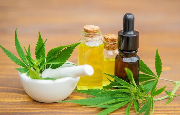 Cannabis herb and leaves for treatment broth, tincture, extract,