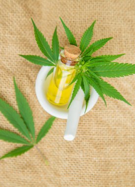 Esrar bitki ve tedavi suyu, tentür, özü için yaprakları,