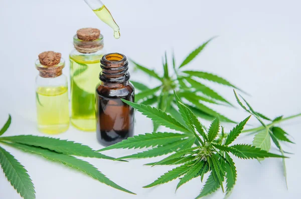 Cannabis gyógynövény és levelek kezelés erőleves, tinktúra, kivonat, olaj. Szelektív fókusz. — Stock Fotó