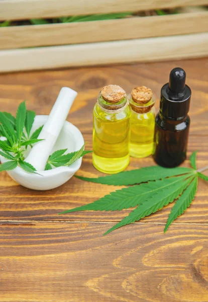 Cannabis gyógynövény és levelek kezelési húsleves, tinktúra, kivonat, — Stock Fotó