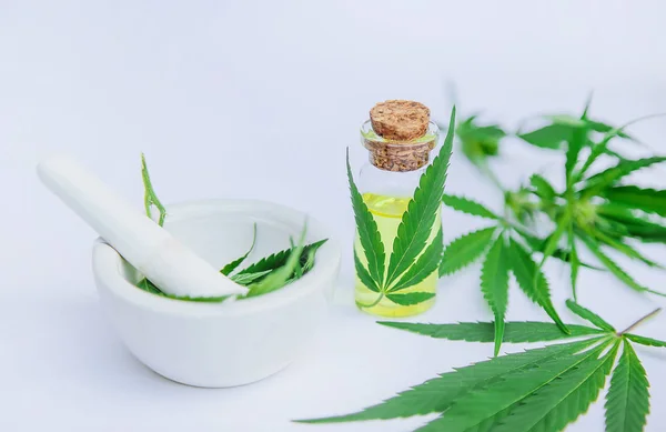Cannabis herb and leaves for treatment broth, tincture, extract, oil. Selective focus. — Stock Photo, Image
