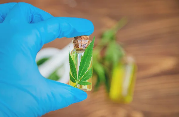 Herbe de cannabis et feuilles pour le bouillon de traitement, teinture, extrait, huile. Concentration sélective. — Photo
