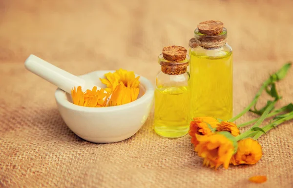 Het calendula-extract. Geneeskrachtige planten. Selectieve aandacht. — Stockfoto