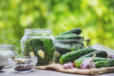 taze ev salatalık korunması. Seçici odak.