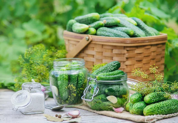 Aufbewahrung von frischen Hausgurken. Selektiver Fokus. — Stockfoto