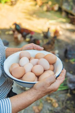 büyükannenin elinde ev yapımı yumurta. Seçici odaklama.
