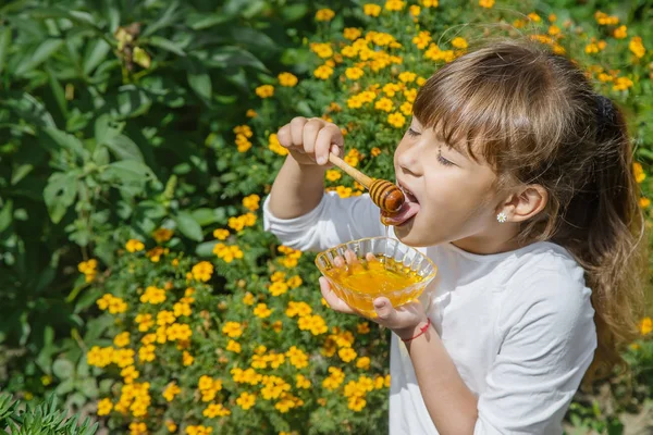 Elinde bir tabak bal var. Seçici odaklama.