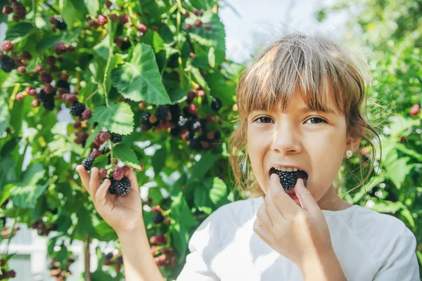 Il bambino tiene more nelle mani. Focus selettivo . — Foto Stock