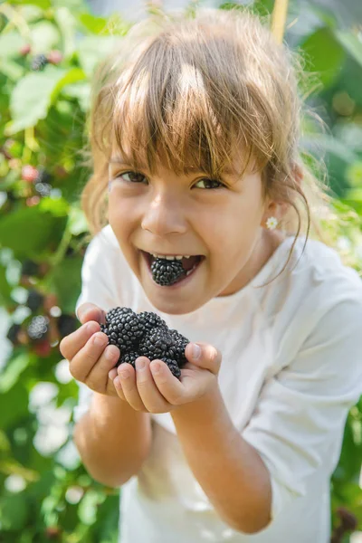 Il bambino tiene more nelle mani. Focus selettivo . — Foto Stock