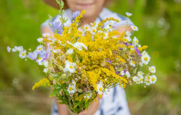 Fille tenant des fleurs sauvages dans les mains d'un enfant. Concentration sélective . — Photo