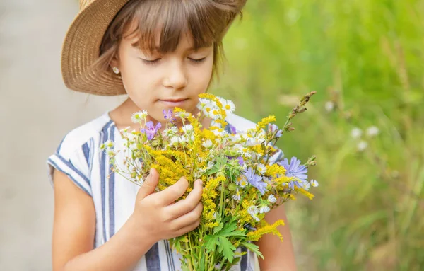 Niña sosteniendo flores silvestres en las manos de un niño. Enfoque selectivo . — Foto de Stock