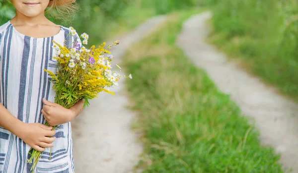 Fille tenant des fleurs sauvages dans les mains d'un enfant. Concentration sélective . — Photo