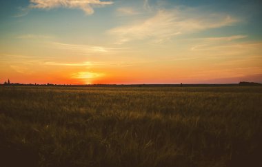 Yazın sahada gün batımı. Seçici odaklama.