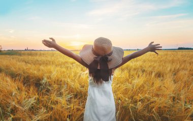 Buğday tarlasında ki bir çocuk. Günbatımı. Seçici odaklama.